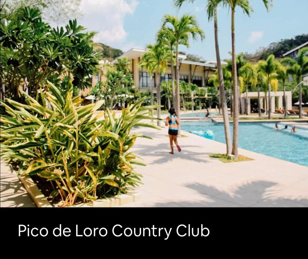 Pico De Loro 2 Bd Garden Loft With Lagoon View ナスグブ エクステリア 写真