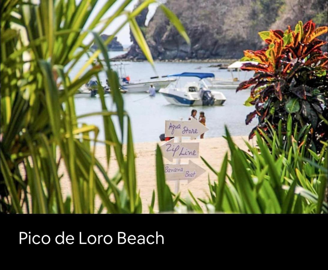 Pico De Loro 2 Bd Garden Loft With Lagoon View ナスグブ エクステリア 写真